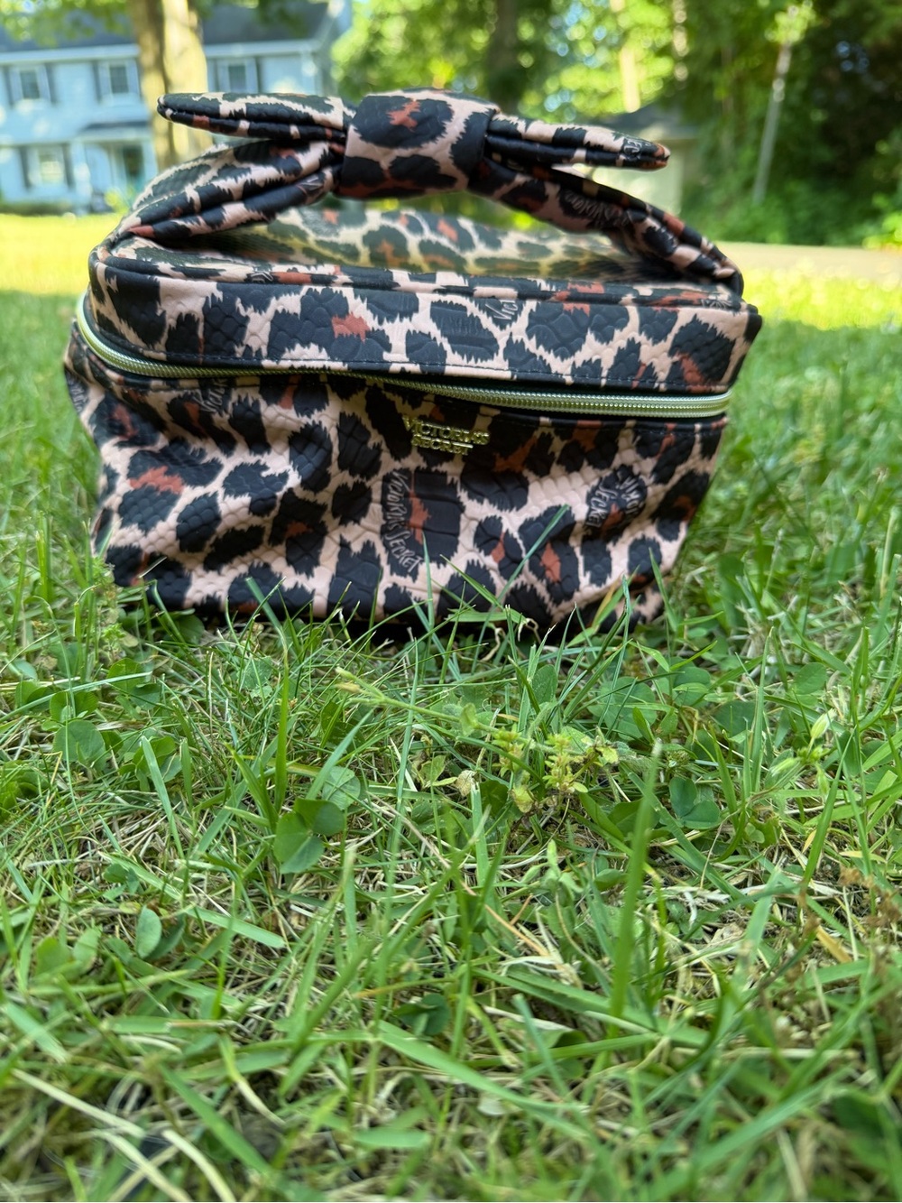 Victoria Secret Quilted Leopard Print Cosmetic Bag in Pink and Black